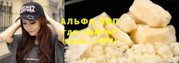 дживик Корсаков