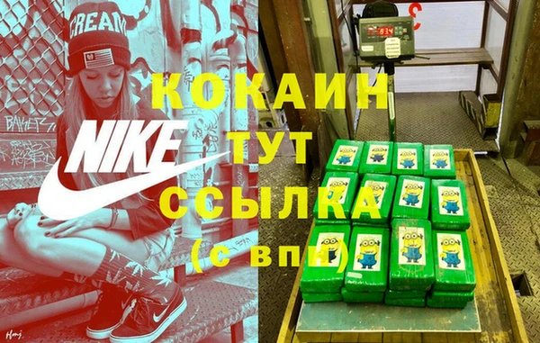 дживик Корсаков