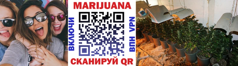 MEGA зеркало  где найти   Сусуман  Канабис марихуана 